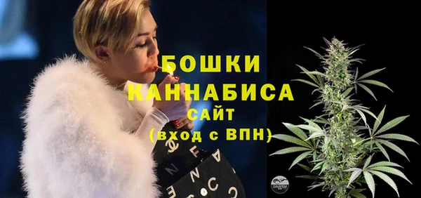 МДПВ Медногорск