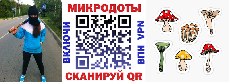 Псилоцибиновые грибы GOLDEN TEACHER  Мосальск 
